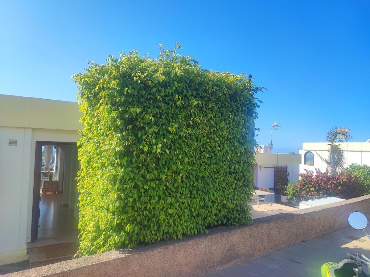 Casa Panorama 314 San Agustin Maspalomas מראה חיצוני תמונה