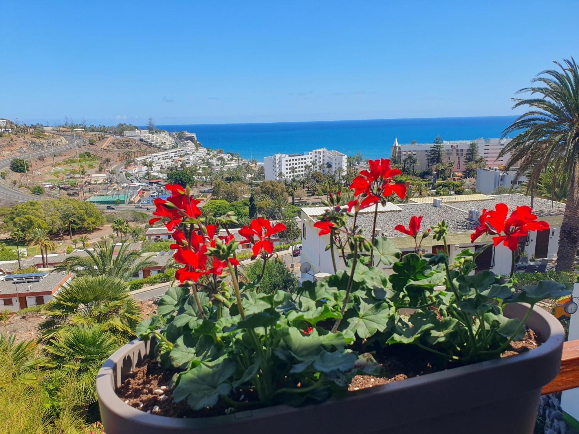 Casa Panorama 314 San Agustin Maspalomas מראה חיצוני תמונה